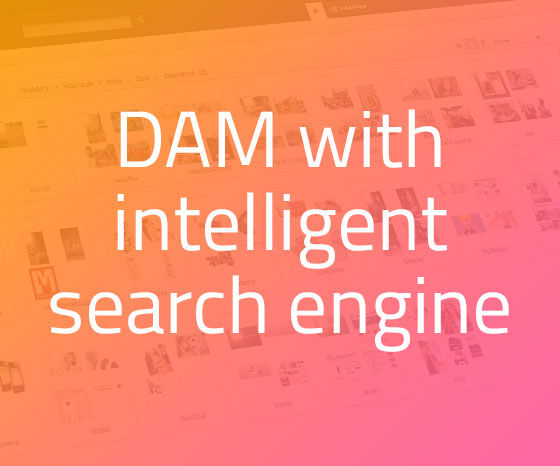 Bizzkit DAM has an integrated intelligent search engine