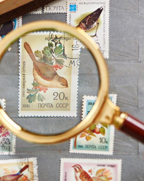 Nordfrim's webshop for the sale of stamps focuses on user-friendliness