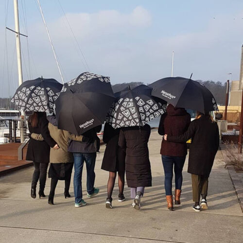 Hesehusians with new Hesehus umbrella