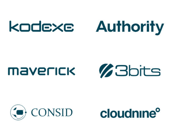 Bizzkit's six solution partners